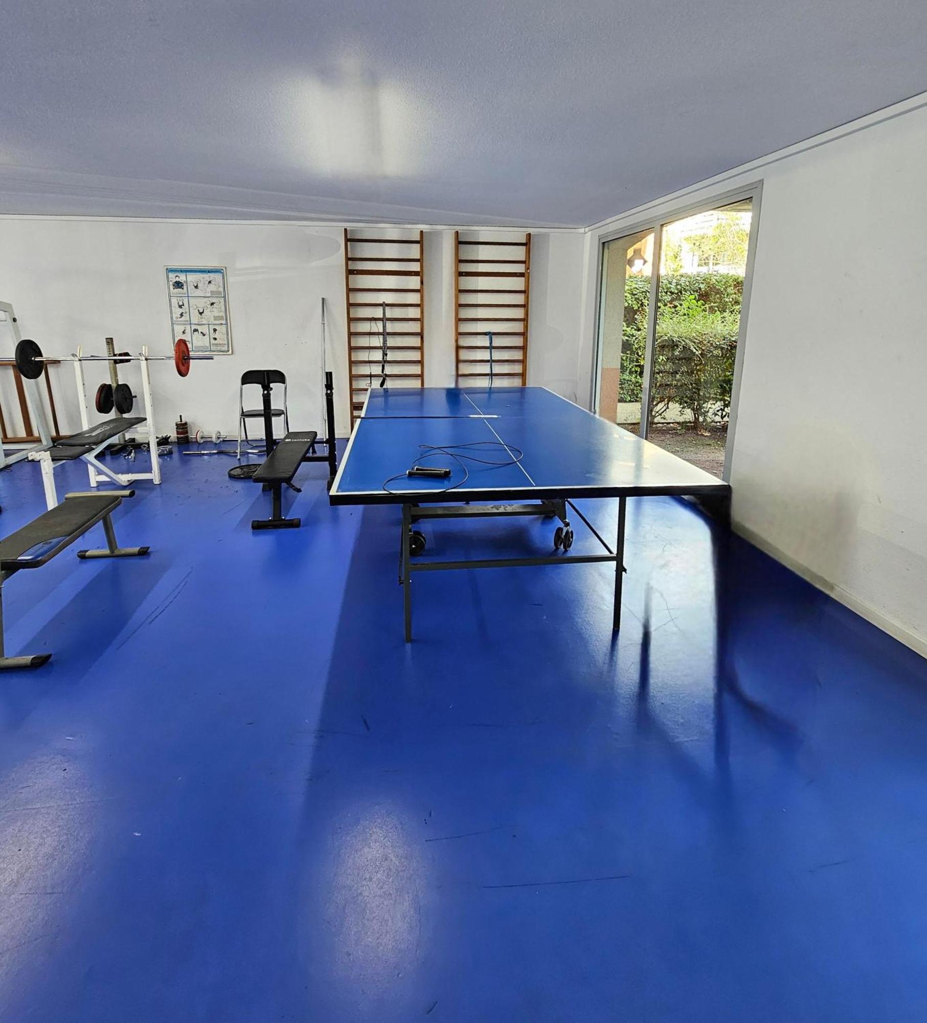 T2 Havre De Paix 2 A 4 P - Terrasse - Parking - Piscine - Salle Sport - Tennis Toulouse Ngoại thất bức ảnh